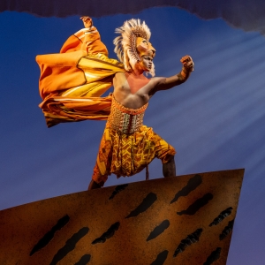 Get Your Tickets Now for THE LION KING at Popejoy Hall Photo
