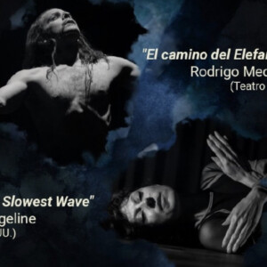 Vangeline to Perform THE SLOWEST WAVE at Chile's FIBUTOH Festival Photo