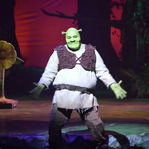 Video: First Look at SHREK THE MUSICAL in Brazil Photo