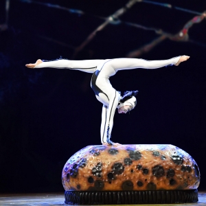 Cirque Du Soleil Returns To Wilkes-Barre With OVO Photo