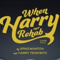 WHEN HARRY MET REHAB to Have Final Performance January 9 Photo