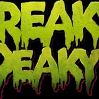 Disco Donnie Presents and Freaky Deaky Music Festival Announce Charity Initiatives Photo