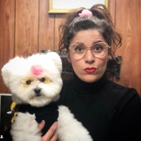 HBO Max Greenlights Dog Grooming Competition Series HOT DOG