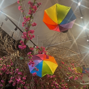 Student Blog: Pride Prevails Photo