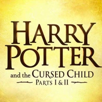 Win 2 Tickets to HARRY POTTER AND THE CURSED CHILD on Broadway, Plus Meet Bubba Weile Photo