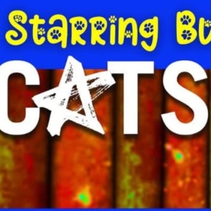 Previews: CATS at Starring Buffalo At Shea’s 710 Theatre Photo