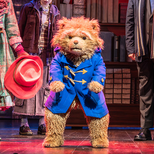 PADDINGTON THE MUSICAL Eyes 2027 Broadway Transfer Photo