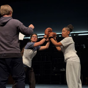 LSC-CyFair Drama Will Stage THE SWEET SCIENCE OF BRUISING This April Photo