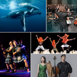 Midland Symphony Orchestra and Windows On Our World to Open Single Tickets Photo