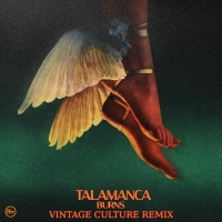 Vintage Culture Remixes BURNS Single 'Talamanca' Video