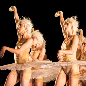 Review: SWAN LAKES AND MINUS 16 at Harbourfront Centre Video
