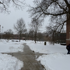 Student Blog: Cold Weather, Warm Tea, and How I Am Keeping Myself Well This Winter