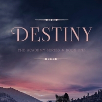 D. D. Larsen Releases New Paranormal Romance 'Destiny' Photo