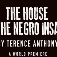 Terence Anthony's The House of the Negro Insane Is Unlike Any Story You've Heard Befo Photo
