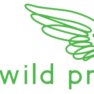 Wild Project Unveils Complete Programming For December 2023 Photo