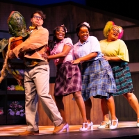 BWW Review: Breathing Fresh Air Into a Cult Classic with LITTLE SHOP OF HORRORS at Straz C Photo