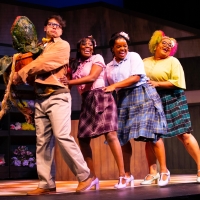 BWW Review: Breathing Fresh Air Into a Cult Classic with LITTLE SHOP OF HORRORS at St Video