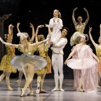 Review: THE NUTCRACKER at Artscape Opera House Is an Enchanting, Top-Class Production Photo