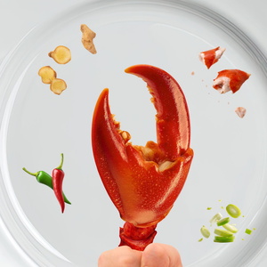 Dark Comedy A PERFECT DISH to be Presented at Peckham Fringe 2026 Photo