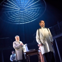 BWW Review: DR SEMMELWEIS, Bristol Old Vic Photo
