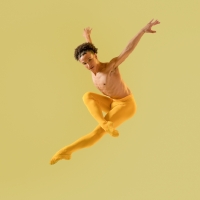 Festival Ballet Providence Partners With RISD Museum For The First Time With “Off T Photo