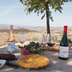 BODEGAS VALDEMAR Wines-Have a Spanish Wine and Tapas Party