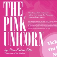 New Vintage Theatre Presents a Streaming Filmed Production of THE PINK UNICORN Photo