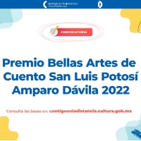 Convocan A Escritoras Y Escritores Al Premio Bellas Artes De Cuento San Luis Potosí  Video