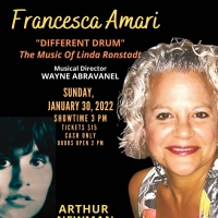 BWW Review: DIFFERENT DRUM: THE MUSIC OF LINDA RONSTADT at Arthur Newman Theater At T Photo