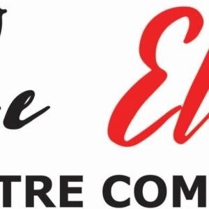 The Elite Theatre Company to Present TEENAGE DICK Beginning This Month Photo