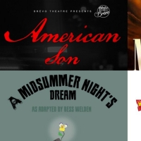AMERICAN SON, MIDSUMMER NIGHT'S DREAM, & More - Check Out This Week's Top Stage Mags Photo