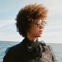 Chastity Brown Announces New Album 'Sing to the Walls' Photo