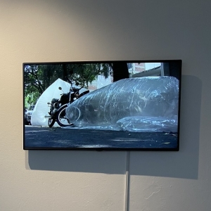 El Museo De Arte Carrillo Gil Presentará El Libro Mirar Con Nuestros Ojos De Montaña,