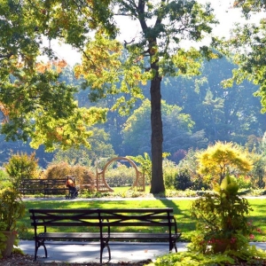 Quintet Of The Americas Will Host Living American Composers Concert at Queens Botanic Photo