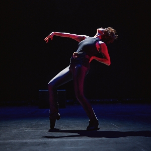 Mimi Quillin's CALL FOSSE AT THE MINSKOFF Directed by Michael Berresse to Premiere at Video