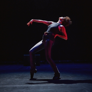 Mimi Quillin's CALL FOSSE AT THE MINSKOFF Directed by Michael Berresse to Premiere…