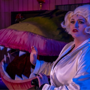 Review: LITTLE SHOP OF HORRORS at Red Curtain Theatre Photo