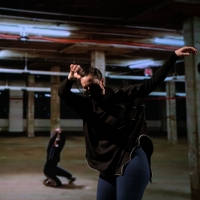 Kinesis Project Dance Theatre to Present SEARCH(LIGHT) as Part of Summer On The Hudso