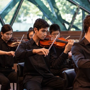 American Youth Chamber Orchestra Opens Enrollment for 2026 Chamber Music Programs Interview