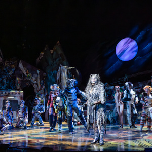 Final Tickets on Sale For The 40th Anniversary Tour of CATS in Brisbane Photo