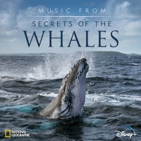Music From SECRETS OF THE WHALES Available Today Video