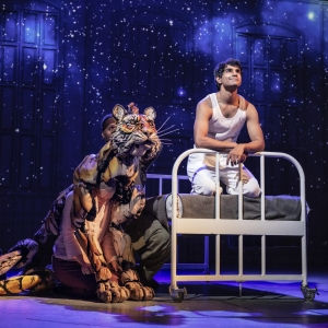 Review: Long Live the LIFE OF PI at DCPA Photo