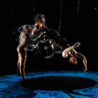 Disability Arts Ensemble Kinetic Light to Present the NY Premiere of WIRED at The Shed Photo
