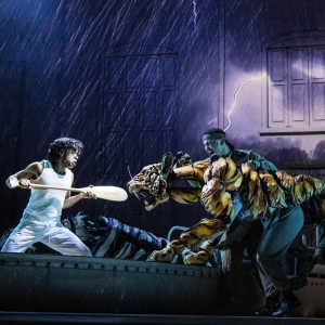 Tickets to LIFE OF PI on Sale This Week at the Hobby Center Photo