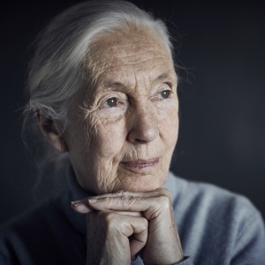 Dr. Jane Goodall To Launch Australia/New Zealand Tour In 2024 Photo