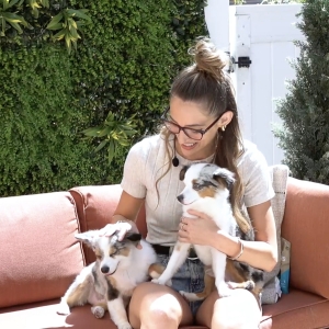 Video: Amber Ardolino Cuddles Up with Her Broadway Pets, Piper & Ziggy Video