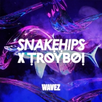 Snakehips and TroyBoi Link Up on New Single 'Wavez' Photo