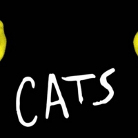 BWW Feature: CATS IL MUSICAL IN STREAMING  su You Tube