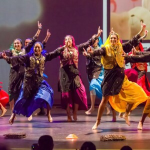 BOSTON BHANGRA Competition to Return for 23rd Year With Live Music Photo