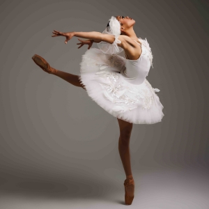 Tickets On Sale For All Black And Brown Swan Lake: BLACK SWAN at Mandel Theater